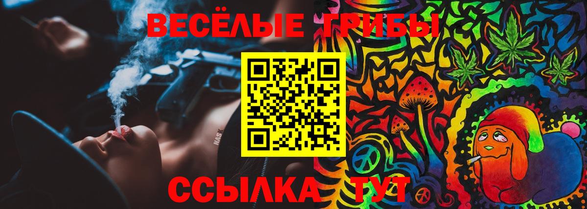 Алатырь  Галлюциногенные грибы Cubensis  Вход с VPN  Галлюциногенные грибы прущие грибы 